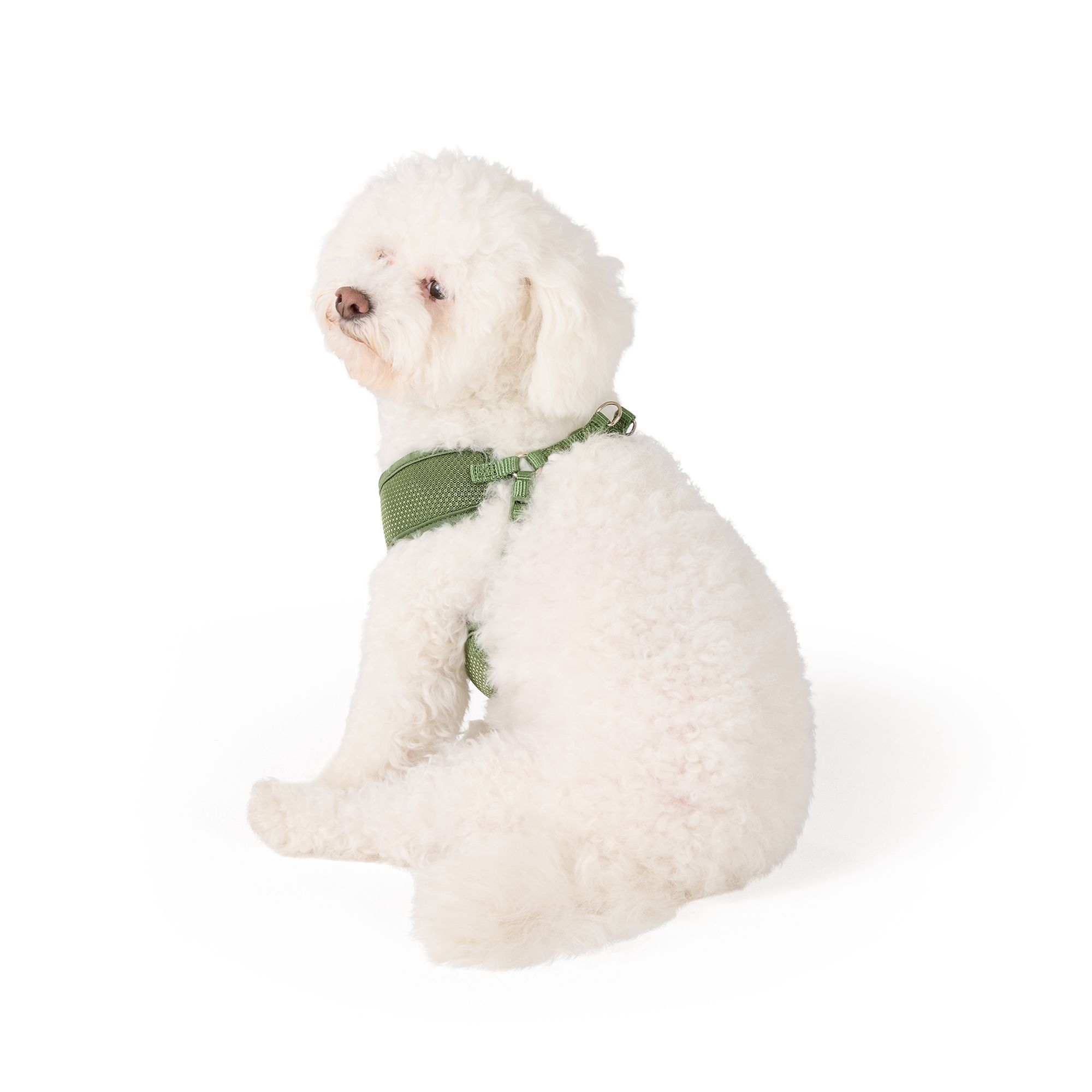Top Paw Mesh Dog Harness, Adjustable, Neoprene, Mesh, Color and Size Vary in Olive, size: Small | PetSmart