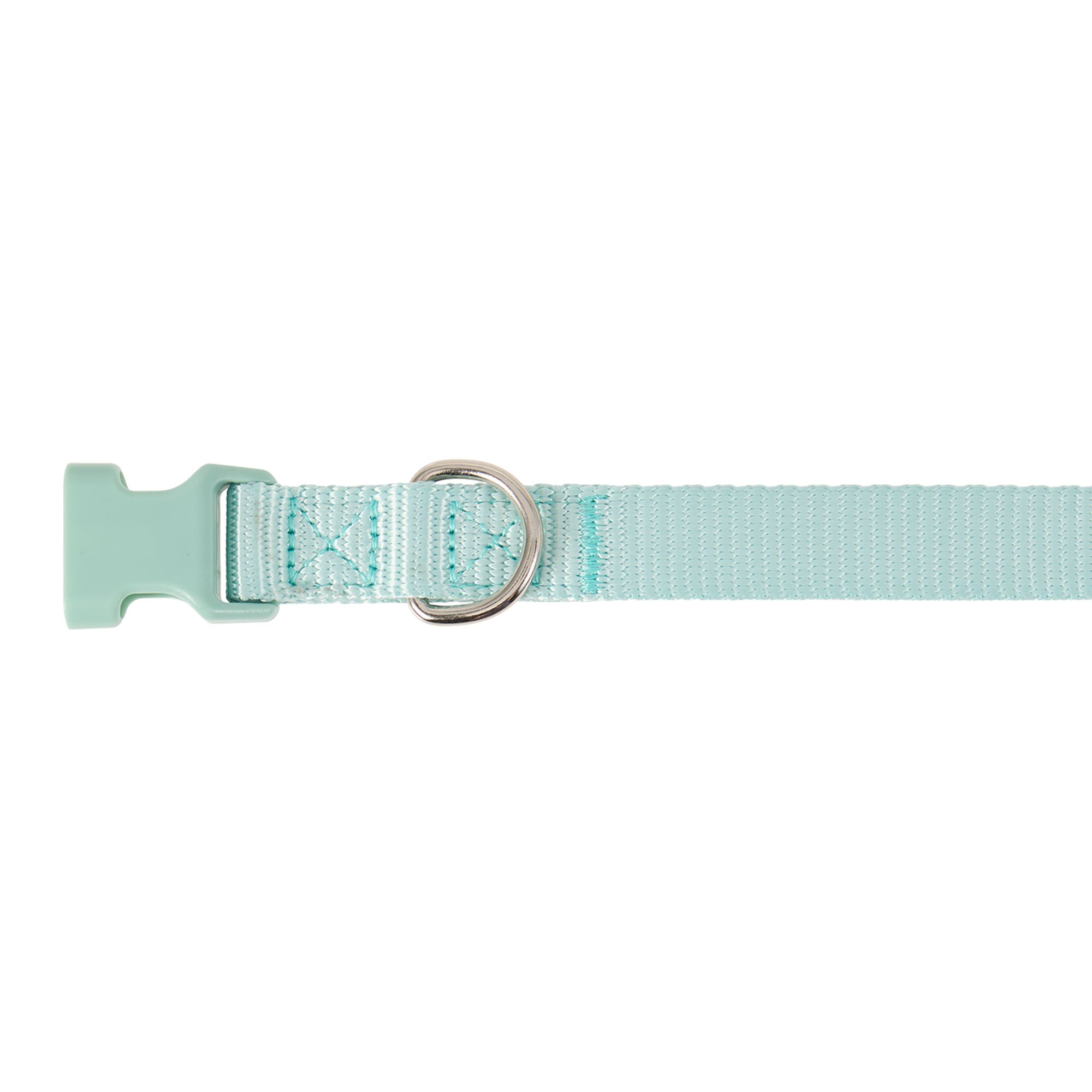 Top Paw Signature Dog Collar, Adjustable, Comfortable, Durable, Multiple Sizes, Multiple Colors in Mint, size: Small | PetSmart