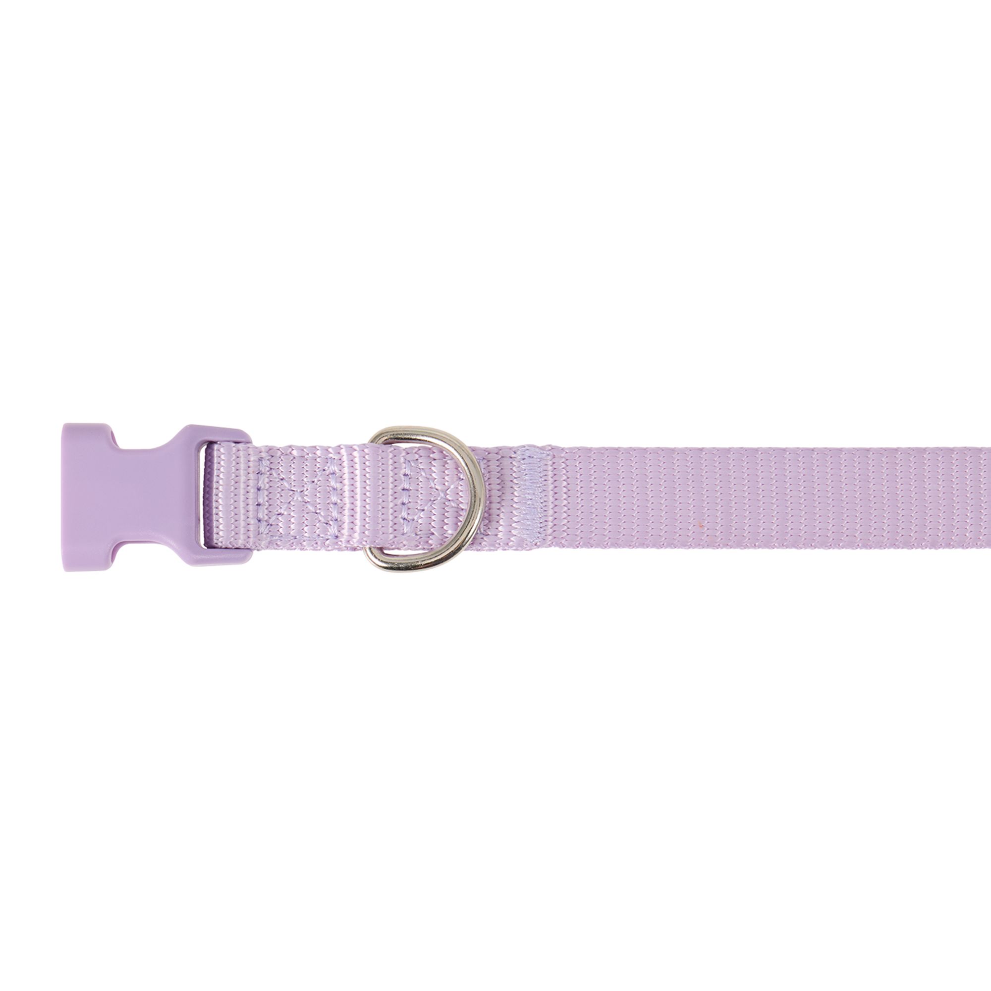 Top Paw Signature Dog Collar, Adjustable, Comfortable, Durable, Multiple Sizes, Multiple Colors in Lavender, size: XL | PetSmart