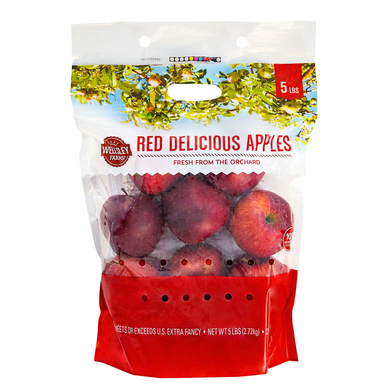 Red Delicious Apple, Hobby Lobby