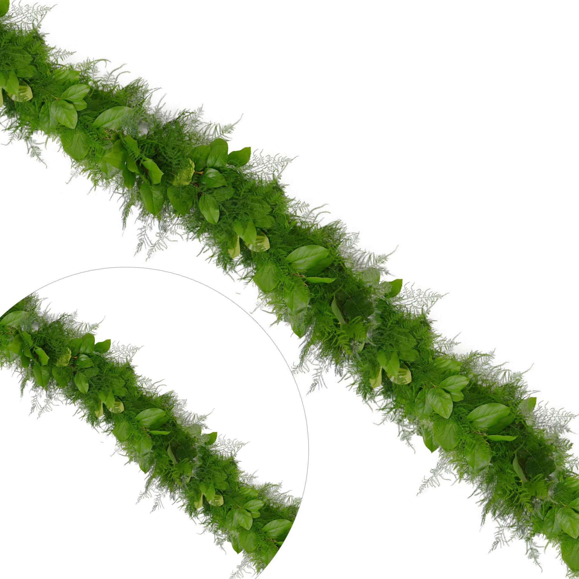 25' x 5&quot; Plumosa and Salal Garland