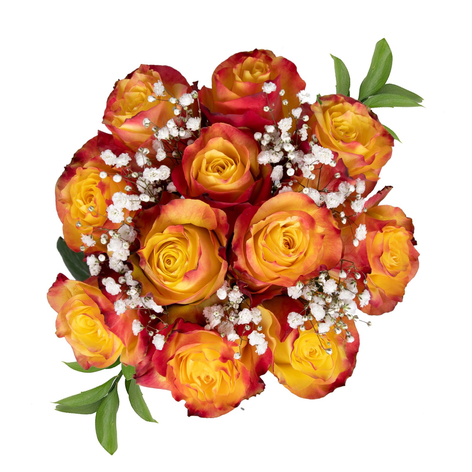 Bulk Flowers Fresh Orange Roses - Yahoo Shopping