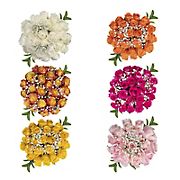 Rose Bouquets, 120 Stems - Assorted Bi-Color