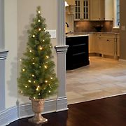 National Tree 4' Pre-Lit Montclair Spruce Entrance Tree in Black and Gold Plastic Pot - Clear
