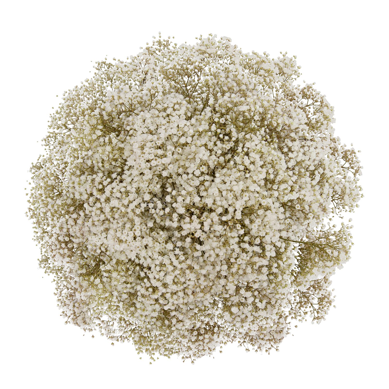 Richland Faux Gypsophilia Baby's Breath Bouquet White 10 - Quick Candles