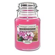 Yankee Candle Jar Candle, 19 oz. - Simply Sweet Pea