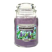 Yankee Candle Jar Candle, 19 oz. - Lovely Lavender