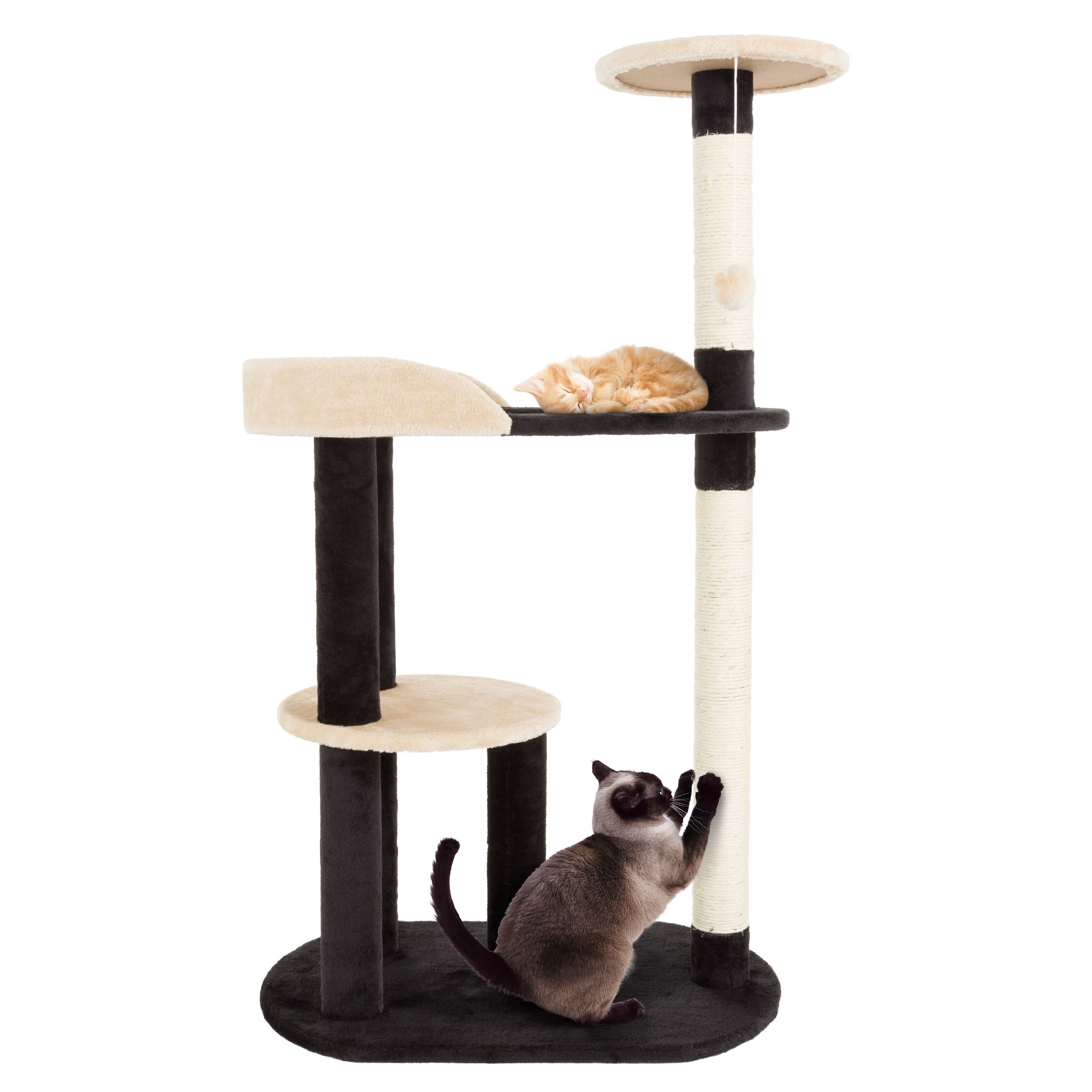 Cat play tree best sale