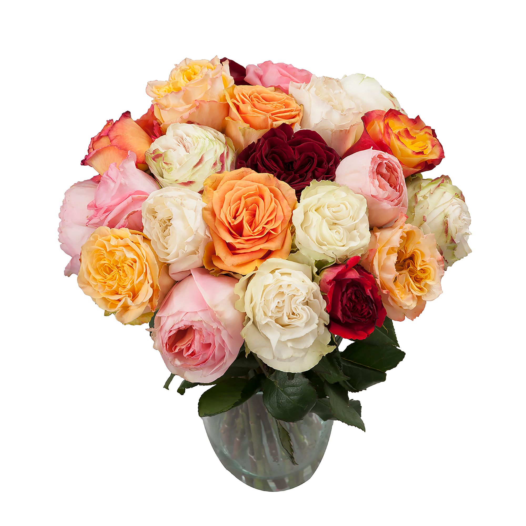 InBloom Color Wonders Garden Rose Bouquet, 24 pc.