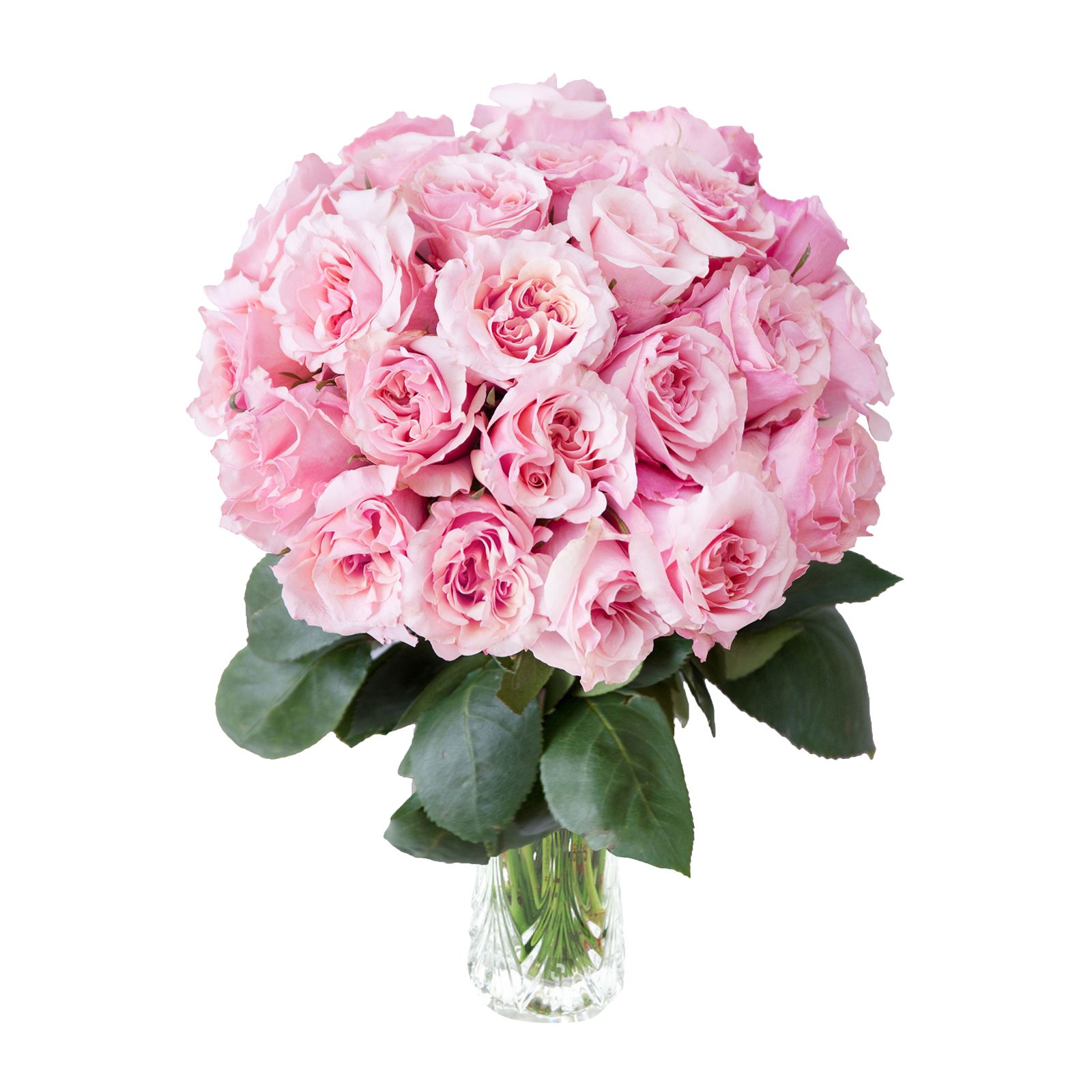 InBloom Pink Starburst Garden Rose Bouquet, 24 pc.