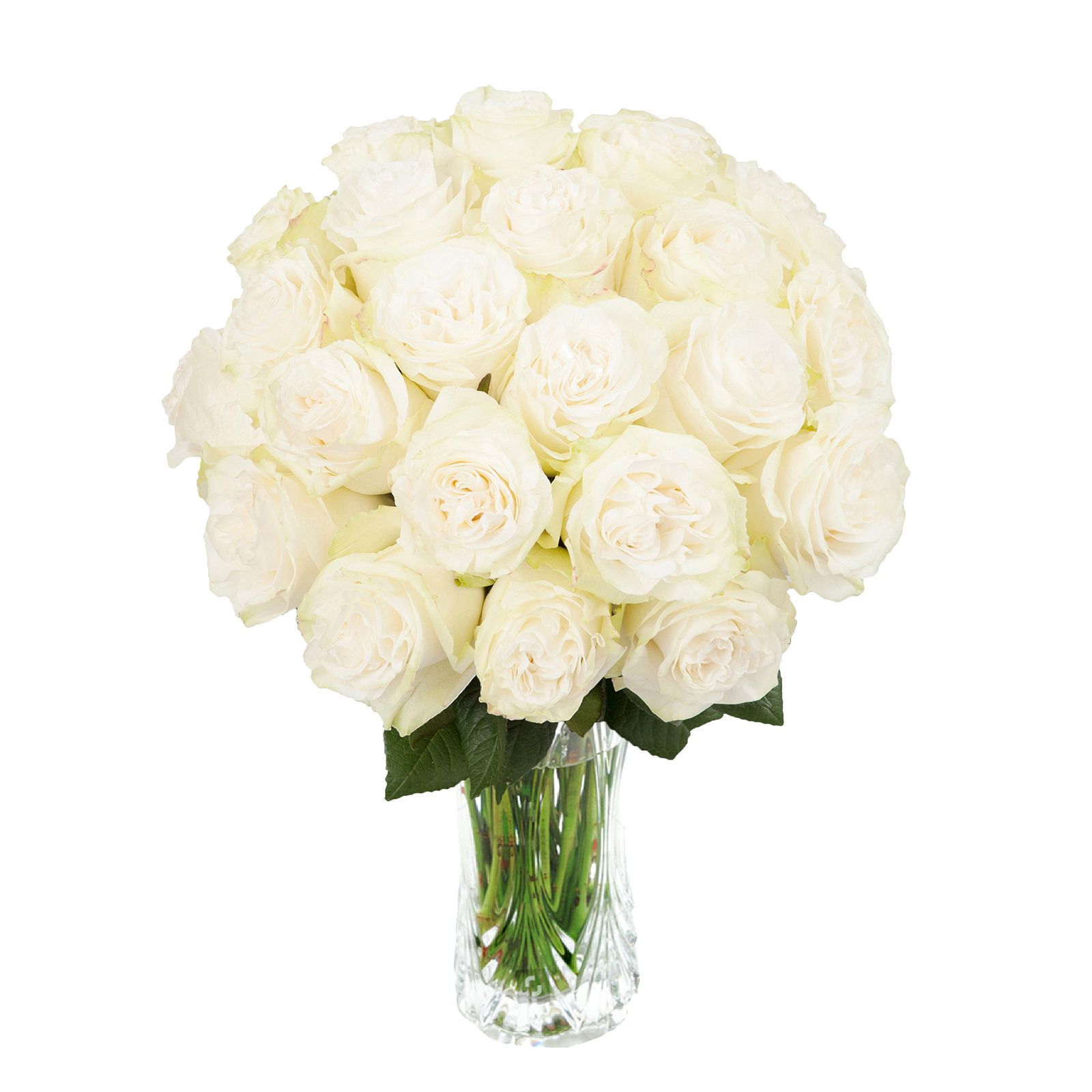 InBloom Simplicity Garden Rose Bouquet, 24 Stems