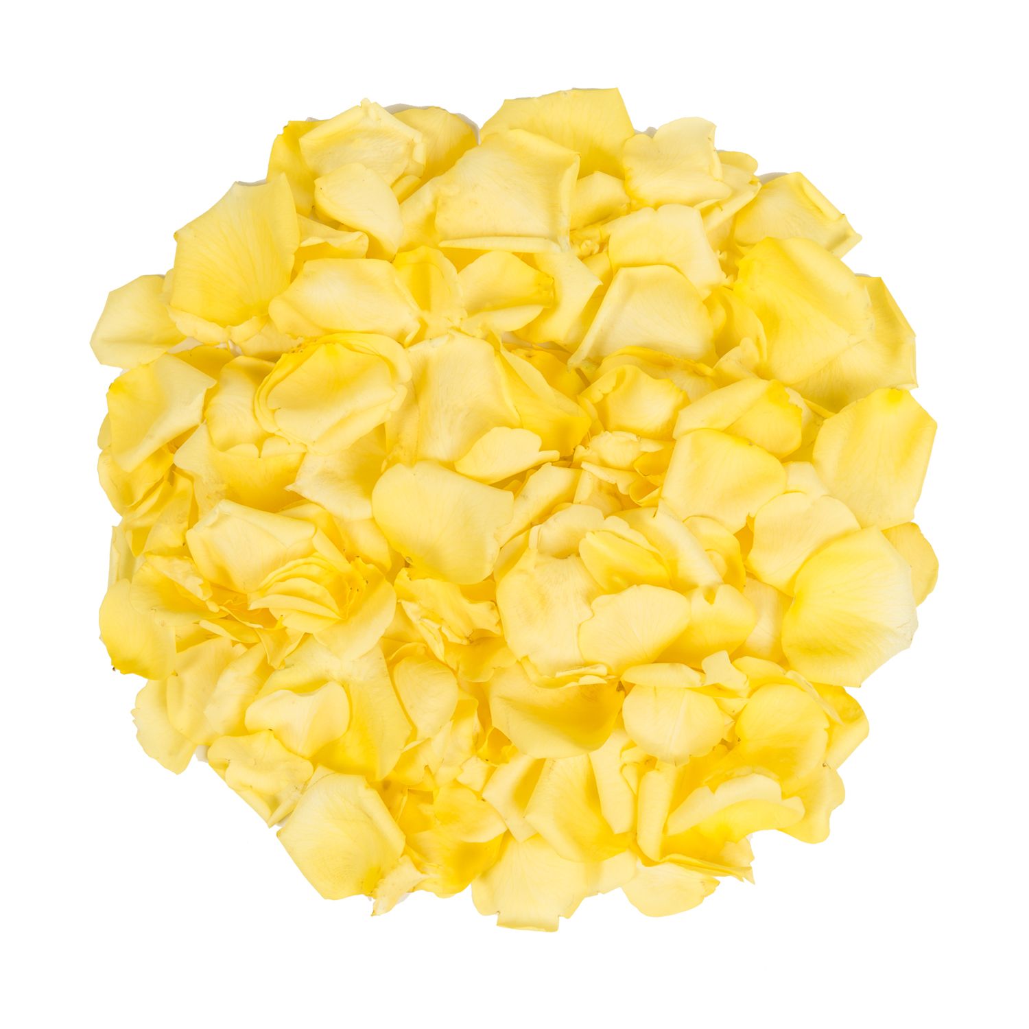 5,000 Rose Petals - Yellow