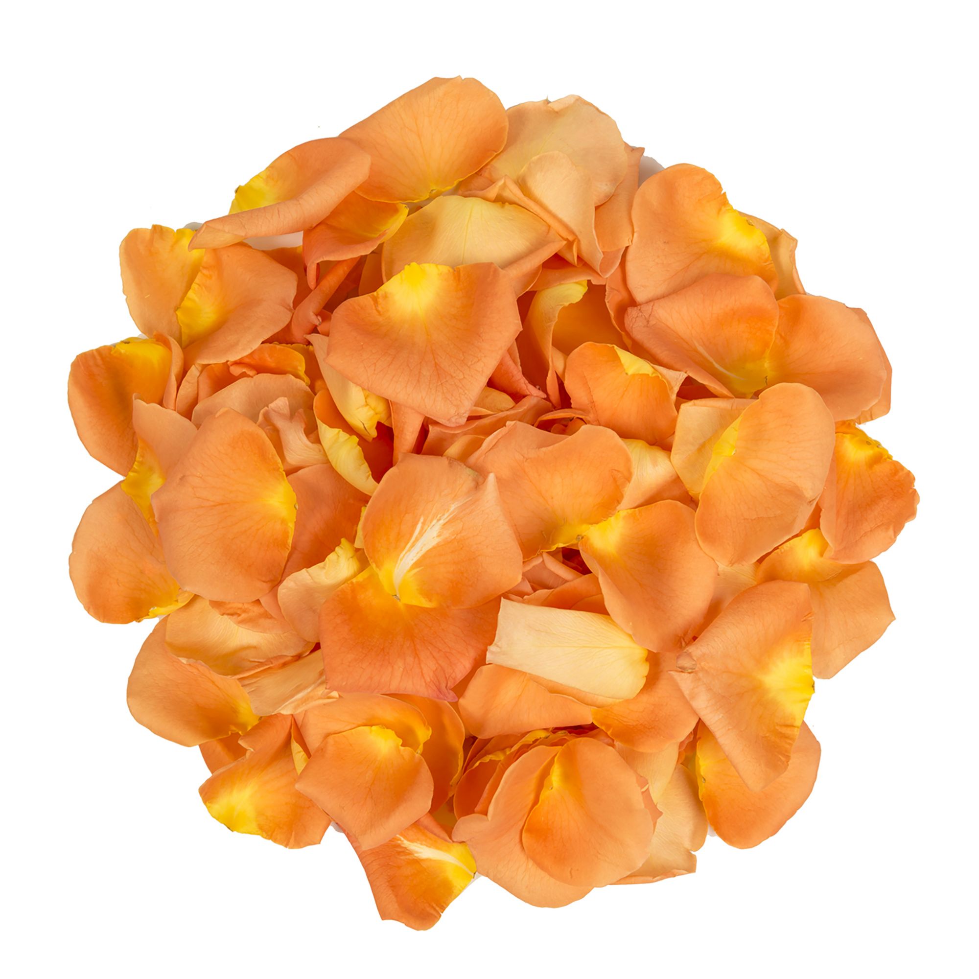 5,000 Rose Petals - Orange