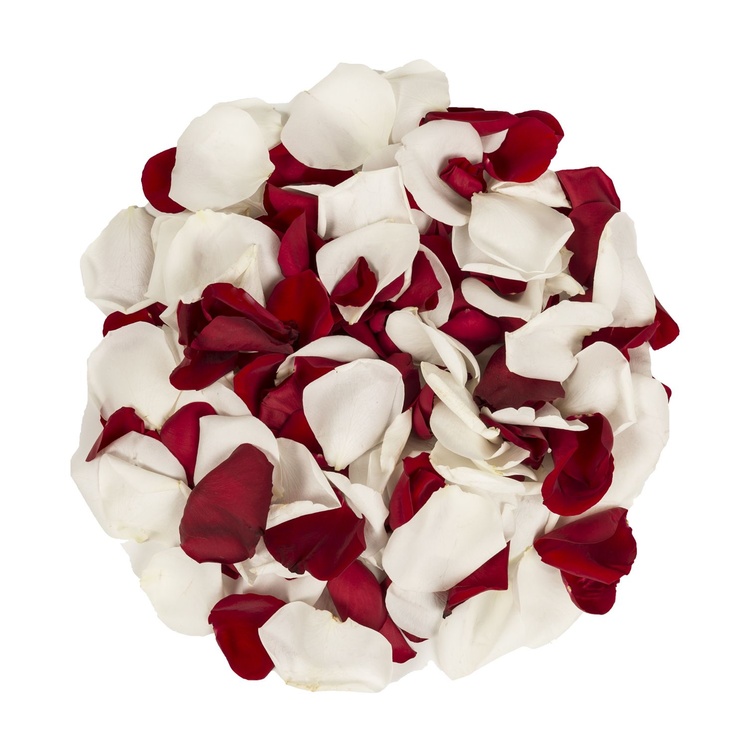 GlobalRose 5000 Fresh Red Rose Petals - Real Petals with Fast Delivery -  Perfect for Valentine´s Day