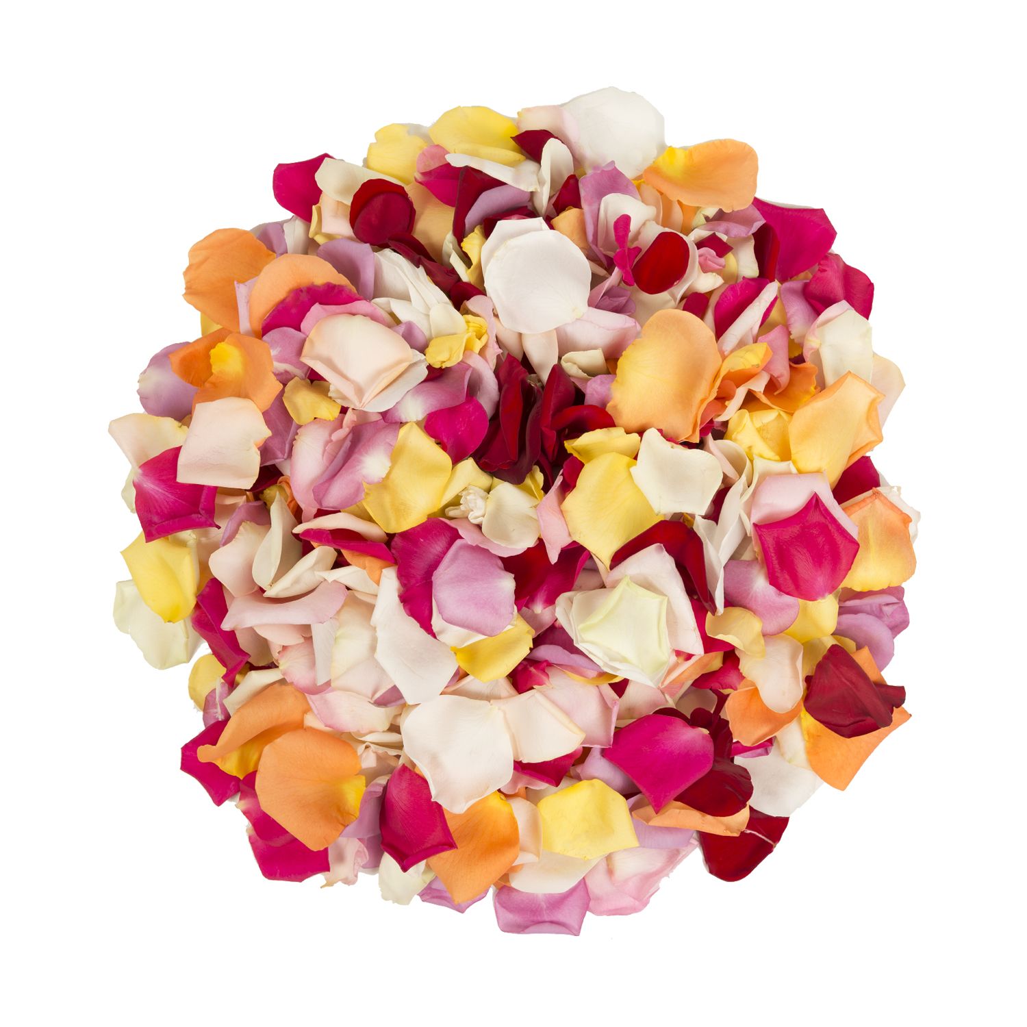 5,000 Rose Petals - Rainbow