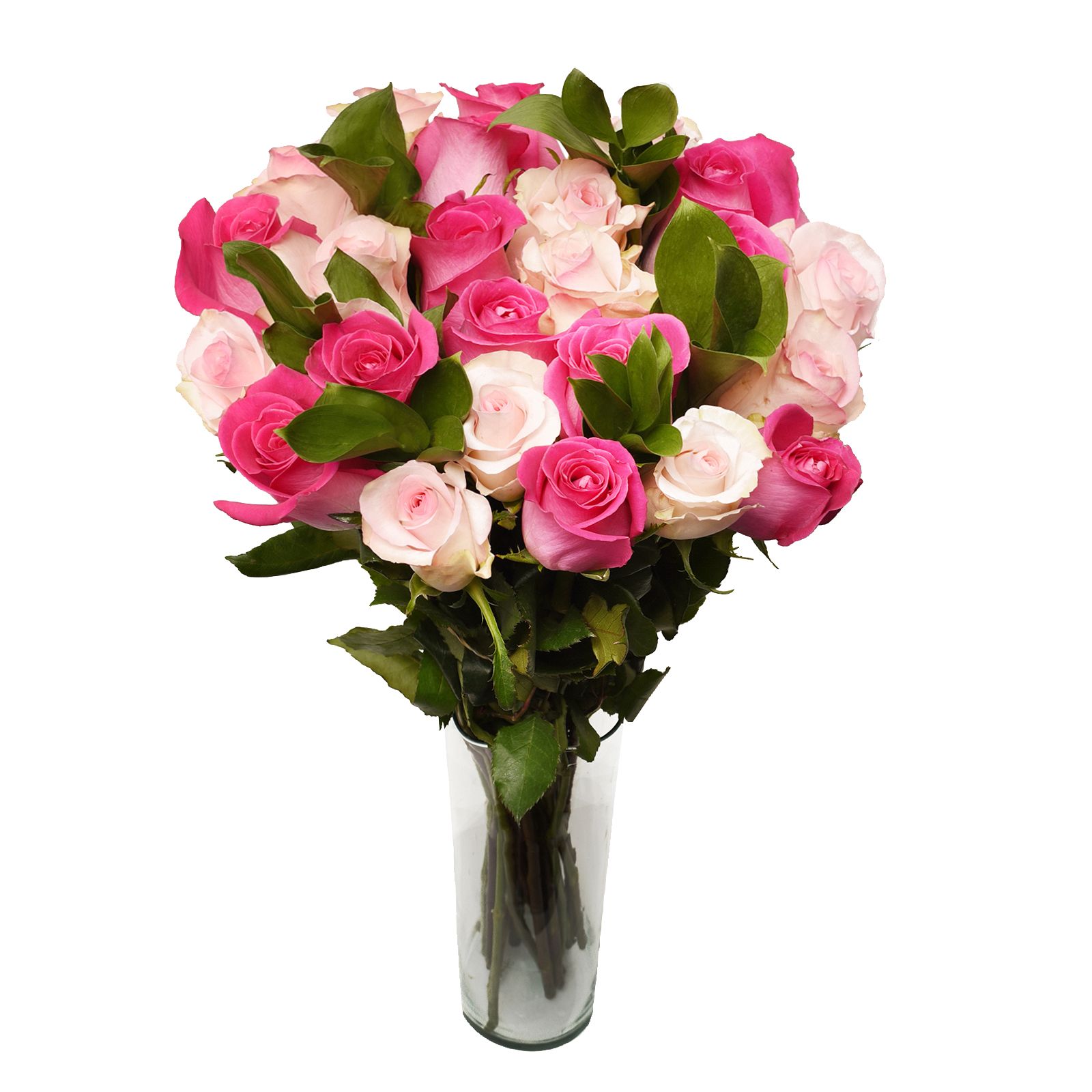 Carnation Wedding Assortment, 100/100 Stems - White, Hot Pink