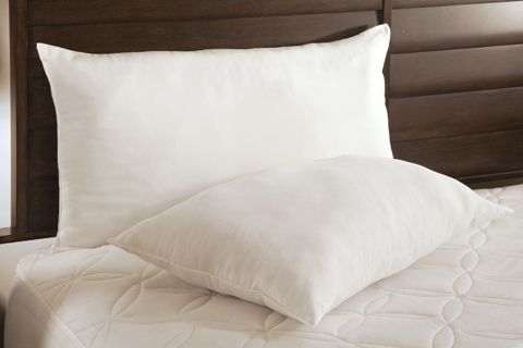 Bjs bamboo hot sale pillow