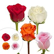 Red, White, Pink, & Growers Choice Roses, 125 Stems