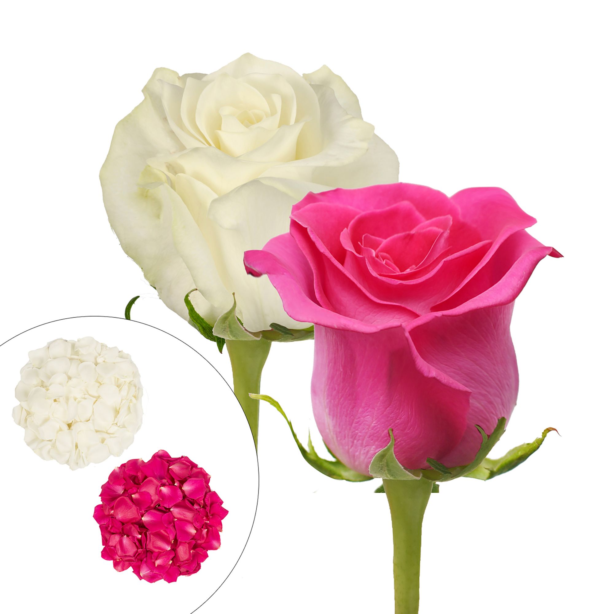 Roses and Petals Combo Box, 50/25/2,000 pk. - Hot Pink, White