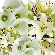 Mini Callas and Asiatic Lilies Combo Box, 50/30 ct. - White