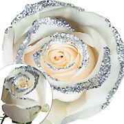 White Silver Glitter Roses, 50 Stems