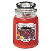 Yankee Candle Jar Candle, 19 oz. - Pumpkin Apple Harvest