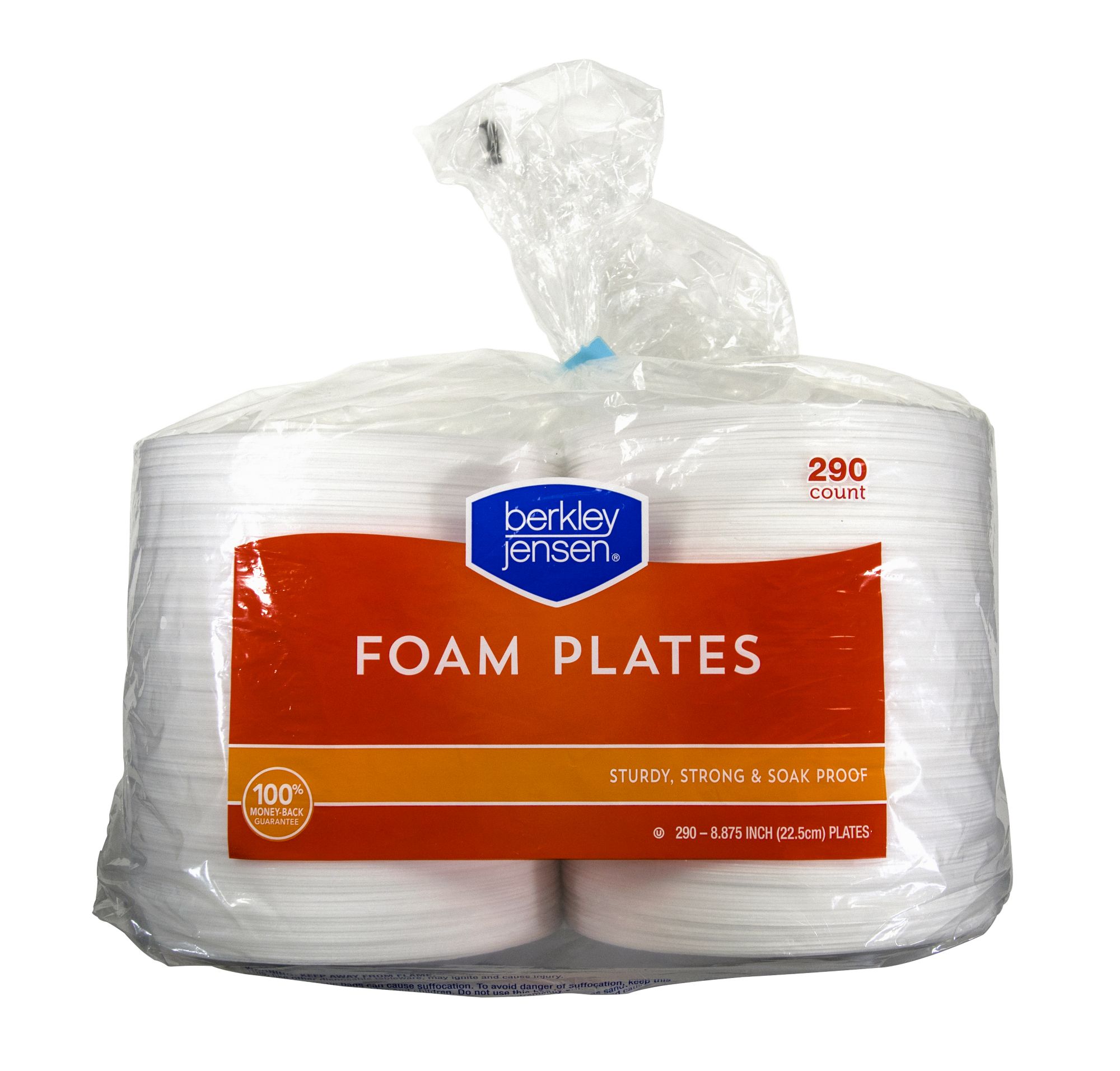 9 Inch Plate- Foam | 125 ct