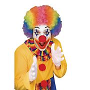 Rainbow Economy Clown Wig