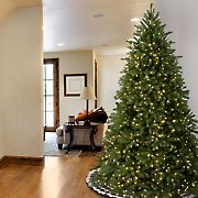 National Tree 7'6&quot; Pre-Lit Jersey Fraser Fir Hinged Tree - Clear