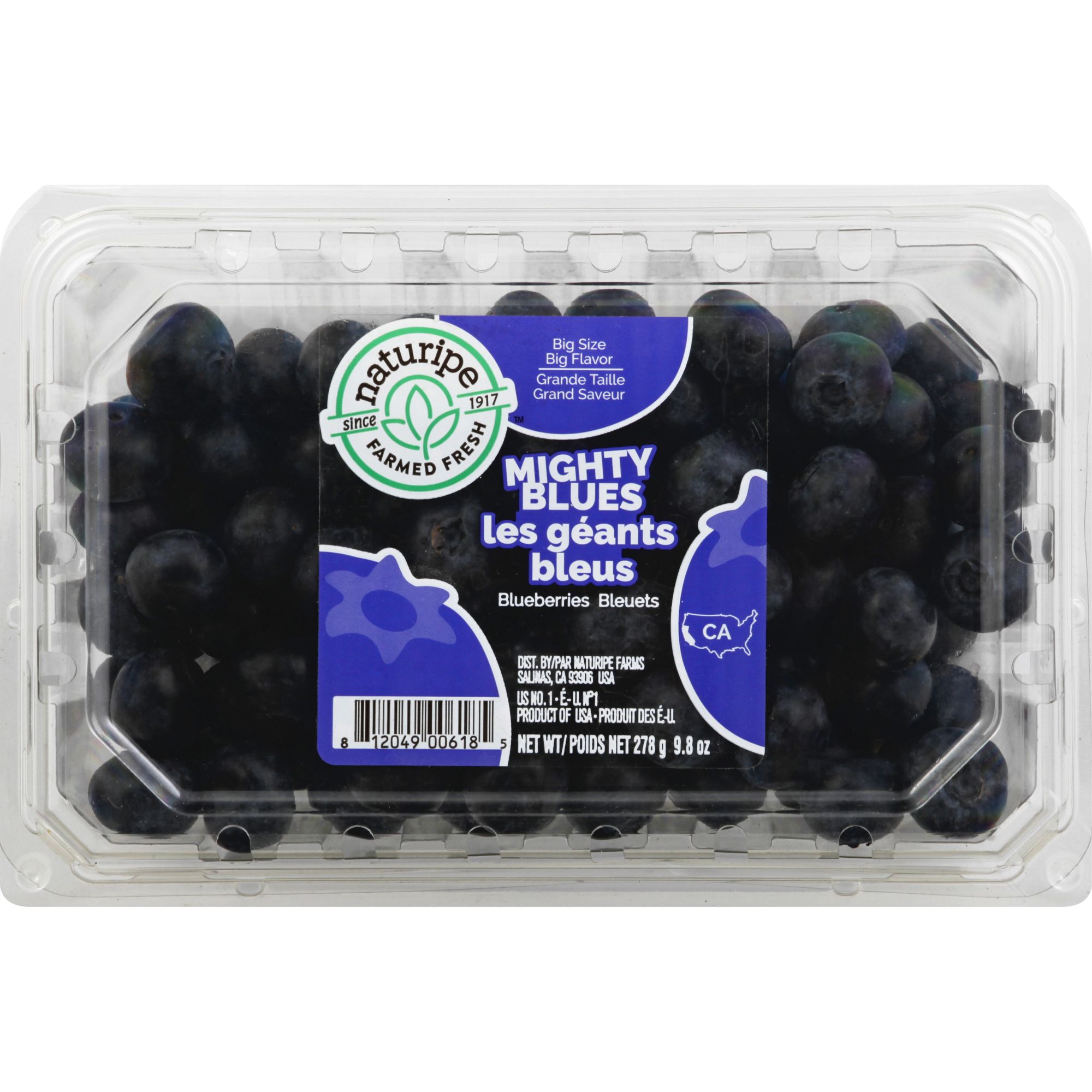 United Exports Blueberries, Fresh, Jumbo 9.8 Oz