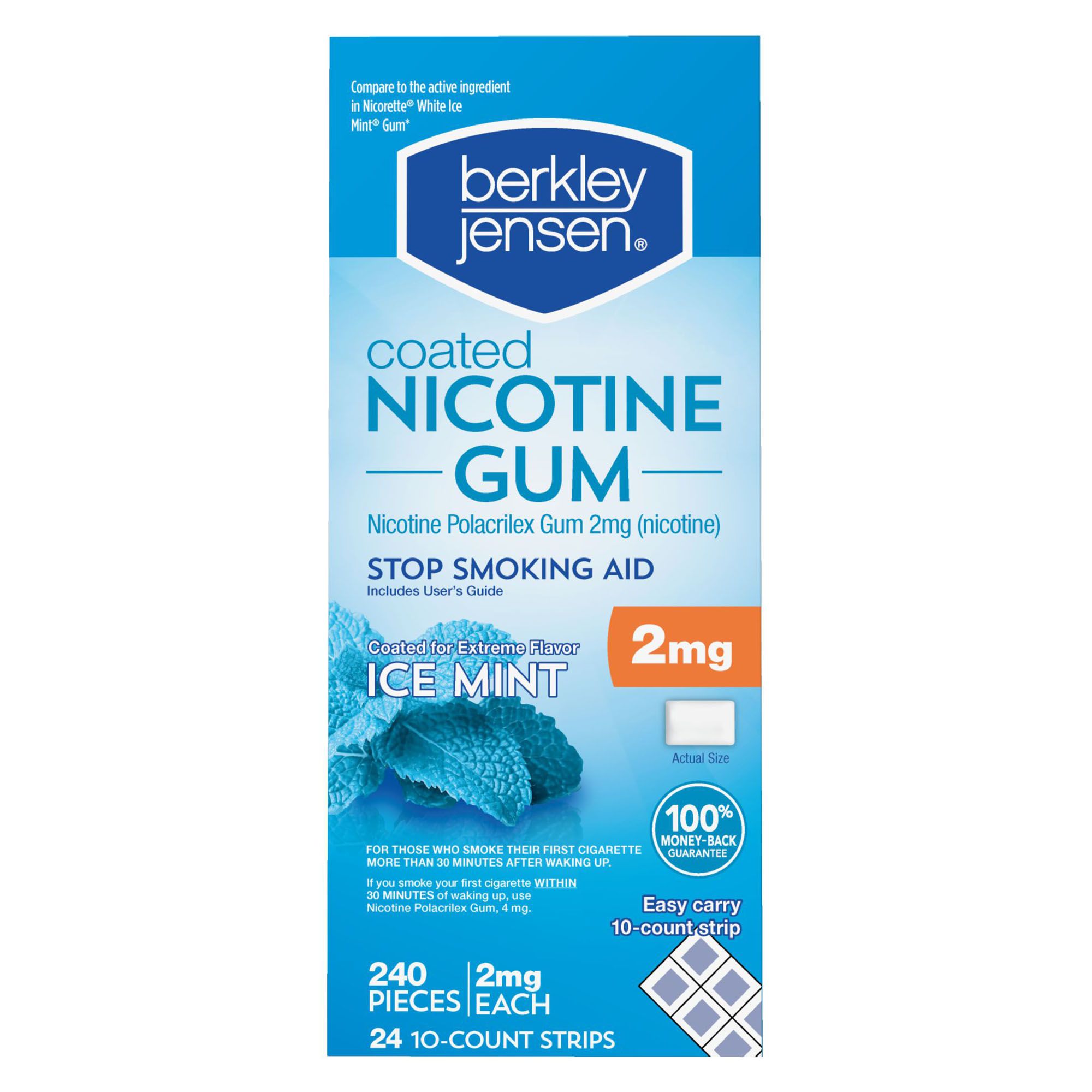 Berkley Jensen Ice Mint 2 mg Coated Nicotine Polacrilex Gum, 240 ct.