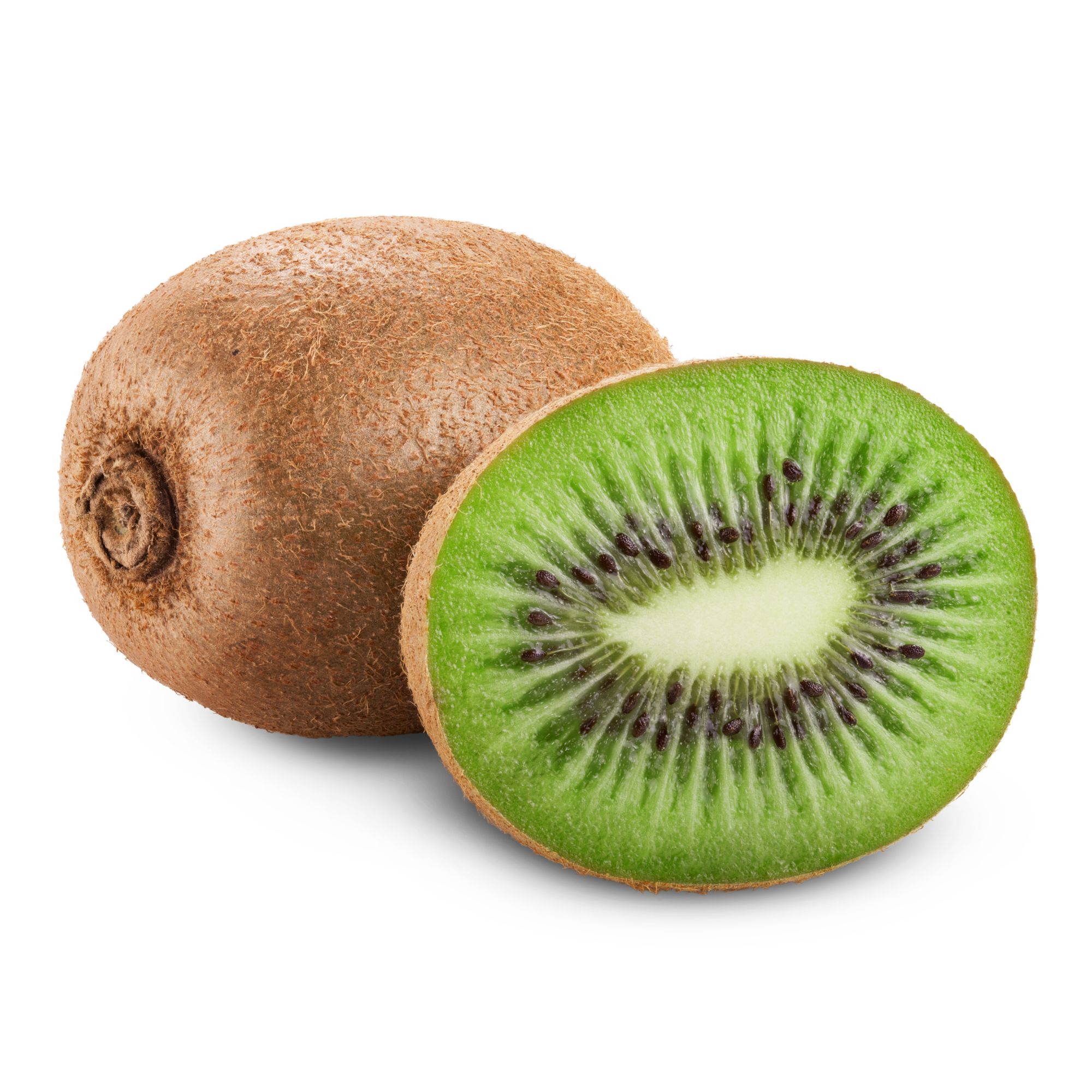 Green Kiwi (2 Count)