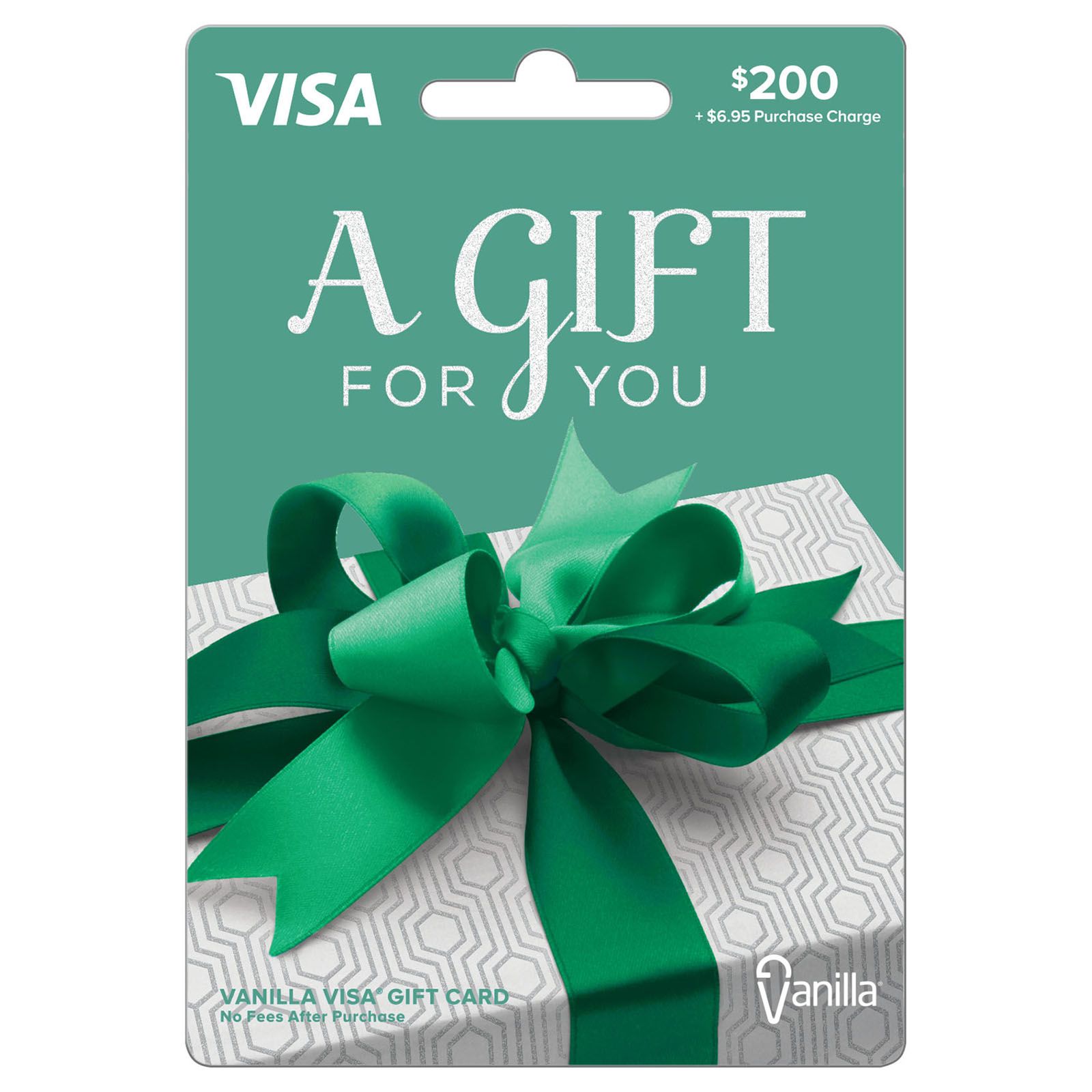 Visa $100 Gift Card (plus $5.95 Purchase Fee)