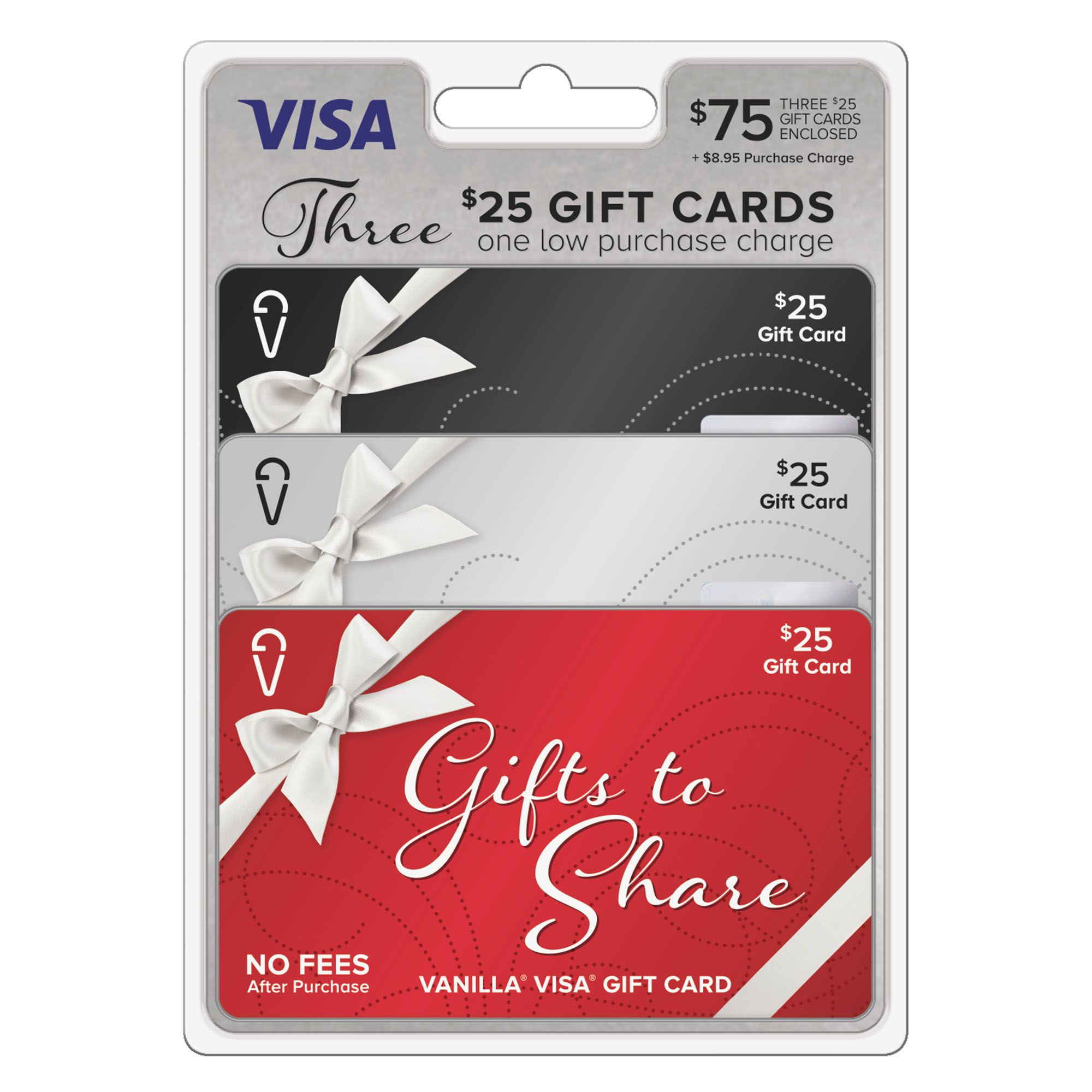 Visa $100 Gift Card (plus $5.95 Purchase Fee)