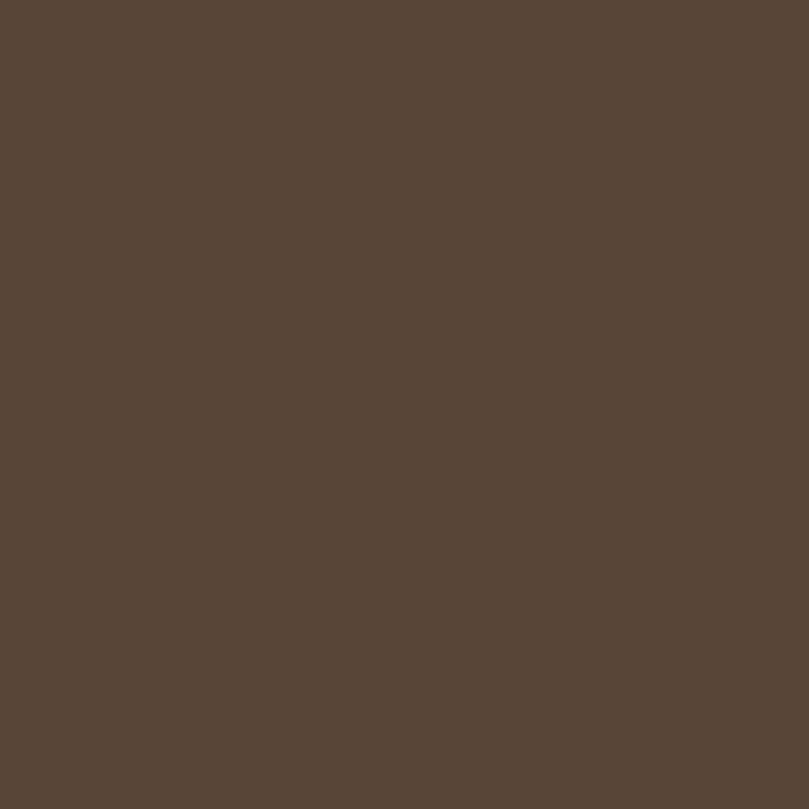 Dark Tortoise