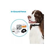 Premier Pet In-Ground Fence System