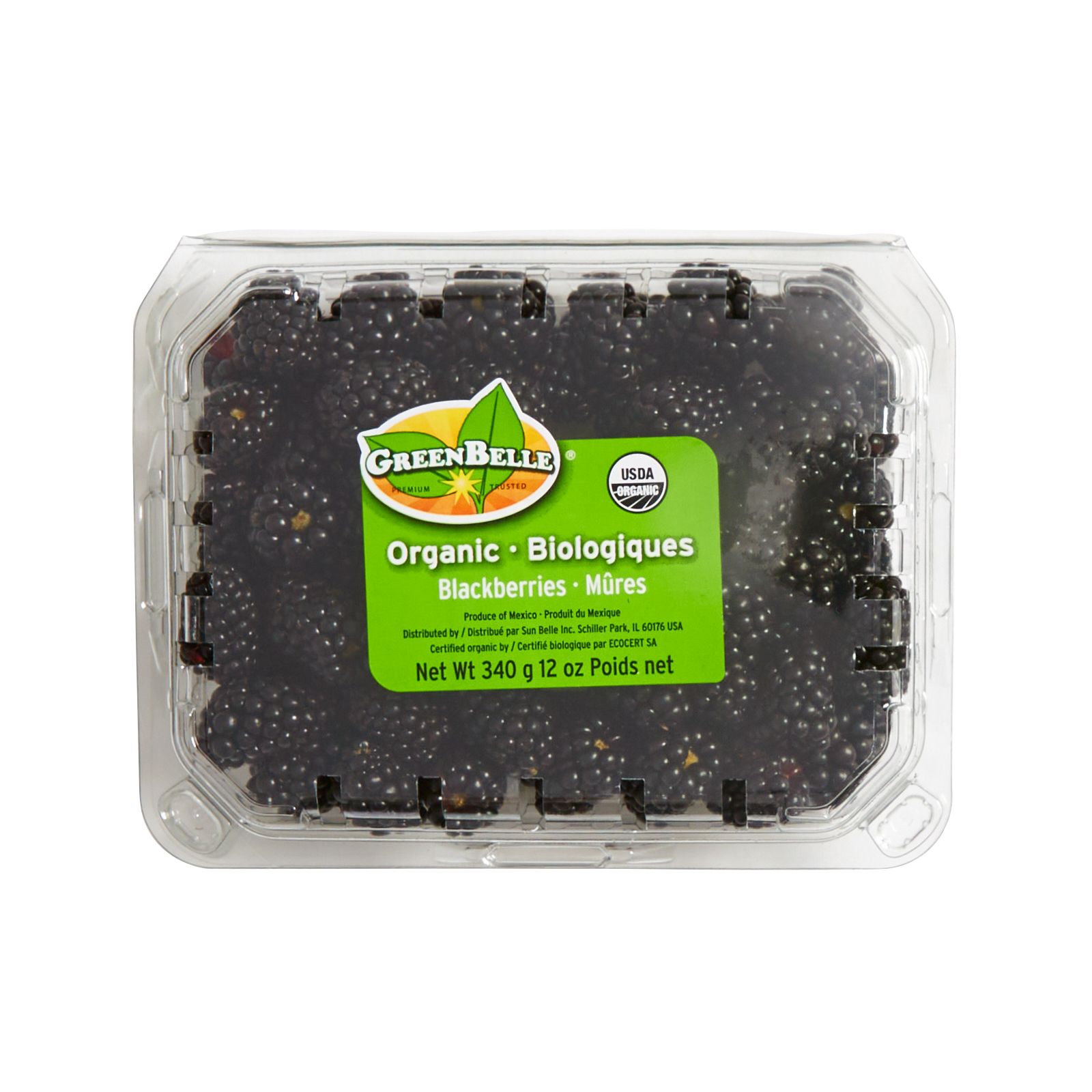 Organic Blackberries, 12 oz.