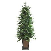 Northlight 6' Pre-Lit Potted Oregon Noble Fir Slim Artificial Christmas Tree - Warm White LED Lights