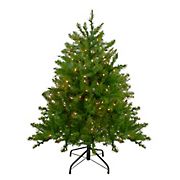Northlight 4' Pre-Lit Northern Pine Full Artificial Christmas Tree - Clear Lights