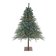 Northlight 6.5' Pre-Lit Full Fairbanks Alpine Artificial Christmas Tree - Clear Lights