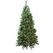 Northlight 7' Pre-Lit Slim Glacier Pine Artificial Christmas Tree - Multicolor LED Lights