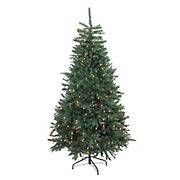 Northlight 6.5' Pre-Lit Full Artificial Northern Pine Christmas Tree - Clear Lights