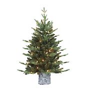 Puleo International 3' Potted Pre-Lit Tree with 50 ct. Lights