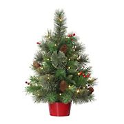 Puleo International 2' Table Top Pre-Lit Tree with 35 ct. lights in Red Base