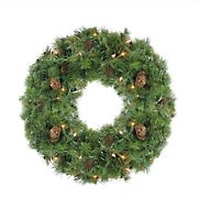Northlight 24&quot; Pre-Lit Dakota Pine Artificial Christmas Wreath - Clear Lights
