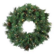 Northlight 24&quot; Pre-Lit Royal Oregon Pine Artificial Christmas Wreath - Clear Lights