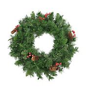 Northlight 24&quot; Iced Mixed Pine and Berry with Pine Cone Artificial Christmas Wreath - Unlit