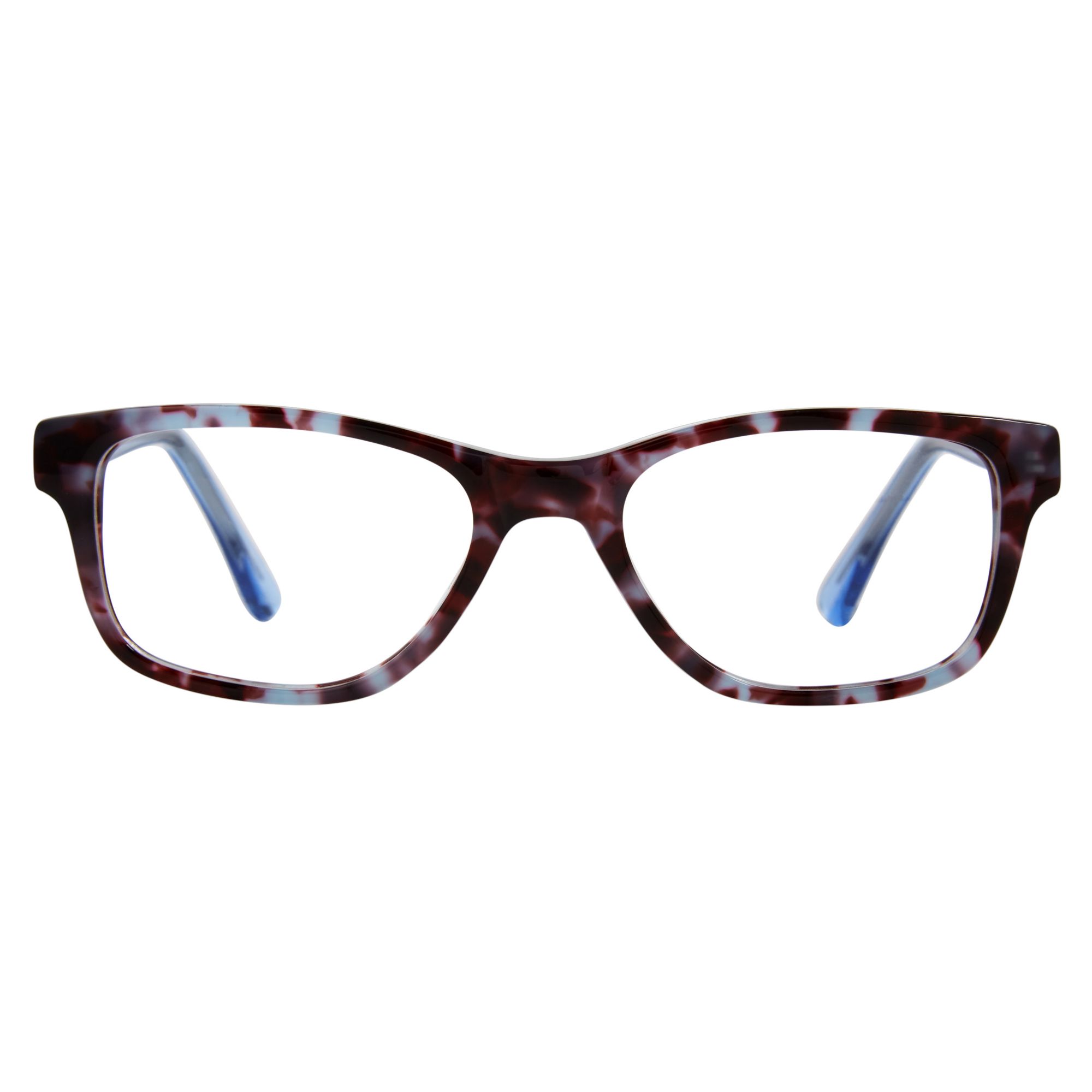 Tortoise Blue