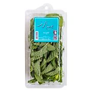Infinite Herbs and Specialties Fresh Mint, 2.5 oz.