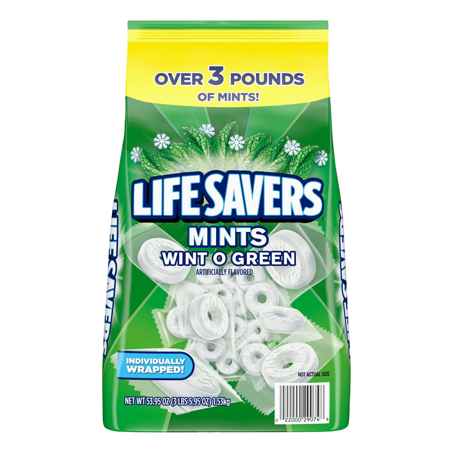 Life Savers Wint O Green Breath Mints Bulk Hard Candy, 53.95 oz.